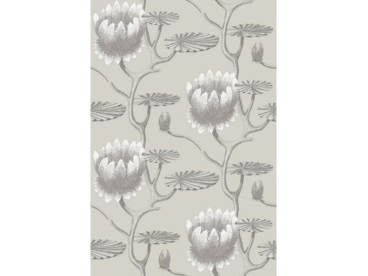 Cole & Son WP: Contemporary Restyled Summer Lily 95/4025.CS.0 Taupe/White