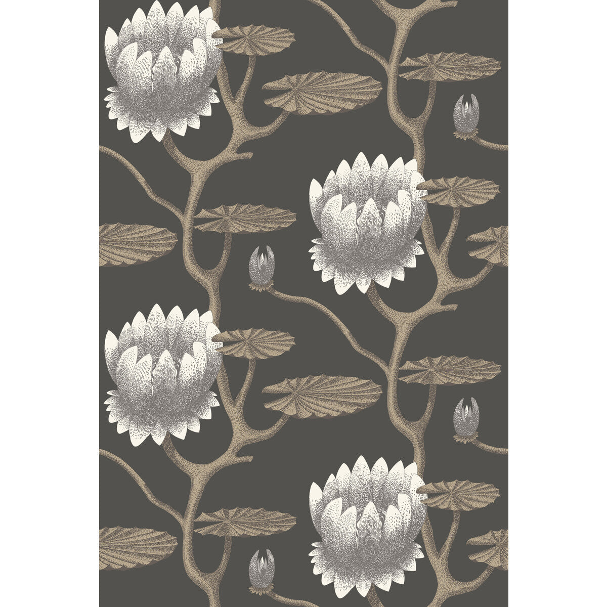 COLE & SON SUMMER LILY BLK/WHT/GOLD