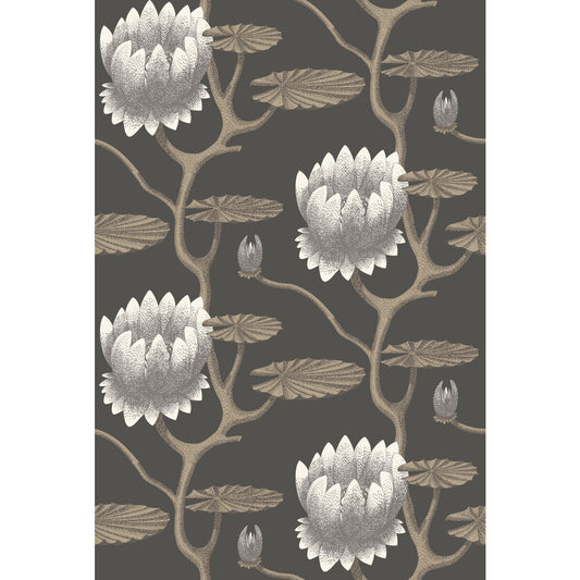 COLE & SON SUMMER LILY BLK/WHT/GOLD
