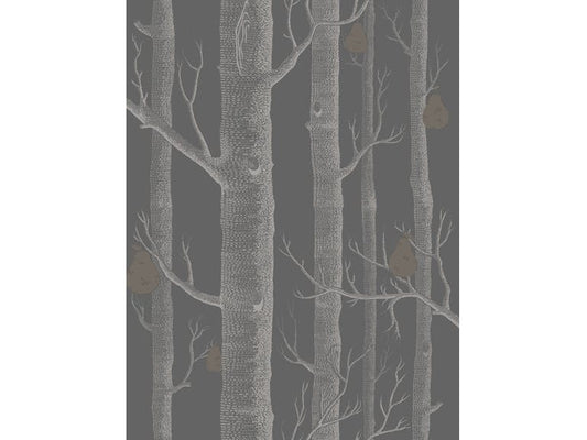 Cole & Son WP: Contemporary Restyled Woods & Pears 95/5031.CS.0 Gold/Silver/Black