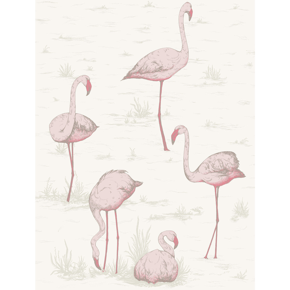 COLE & SON FLAMINGOS PINK/WHITE