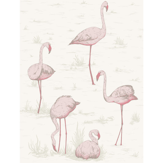 COLE & SON FLAMINGOS PINK/WHITE