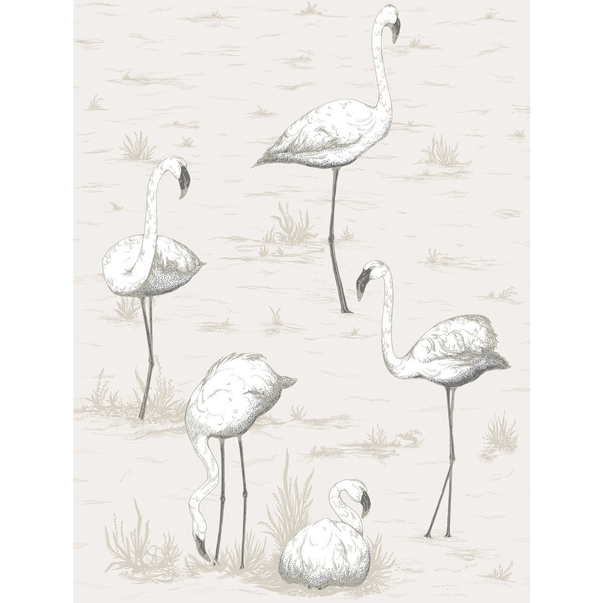 COLE & SON FLAMINGOS CHARCOAL/WHT
