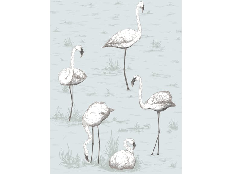 Cole & Son WP: Contemporary Restyled Flamingos 95/8047.CS.0 Charcoal/Aqua