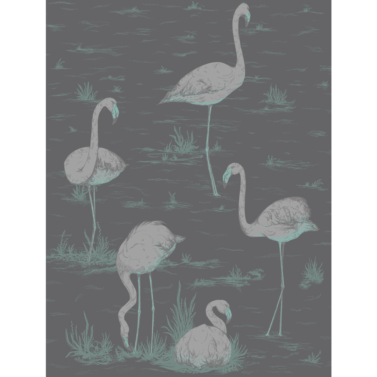 COLE & SON FLAMINGOS TEAL/SLVR/BK