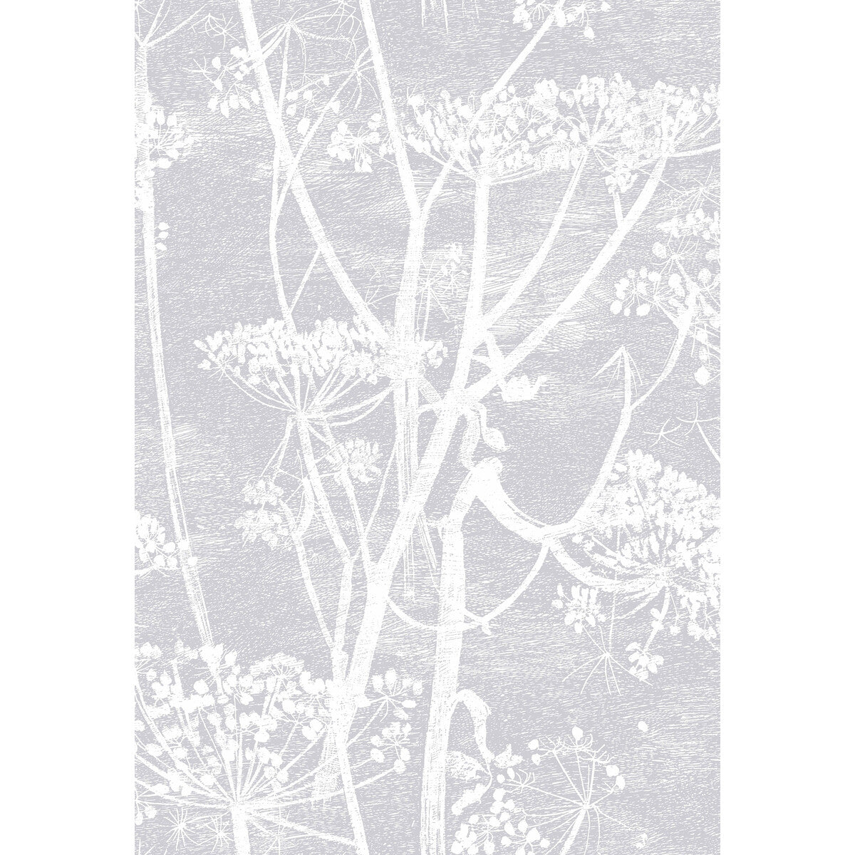 COLE & SON COW PARSLEY LILAC