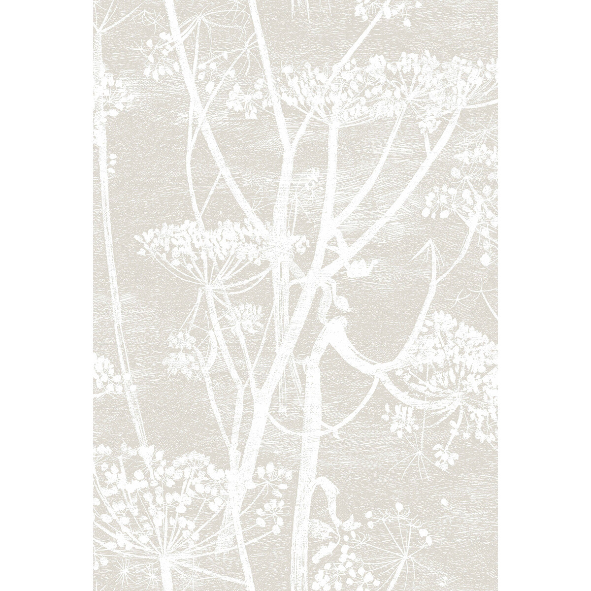 COLE & SON COW PARSLEY LINEN/WHITE