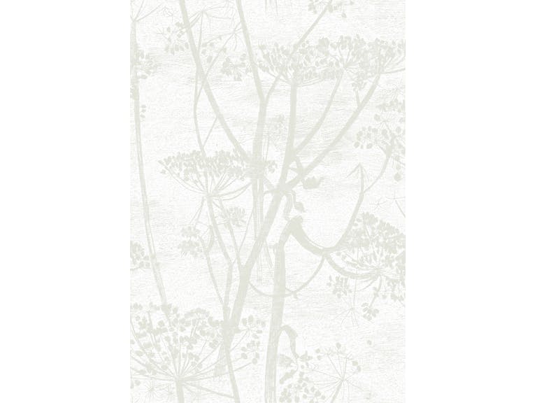Cole & Son WP: Contemporary Restyled Cow Parsley 95/9052.CS.0 White