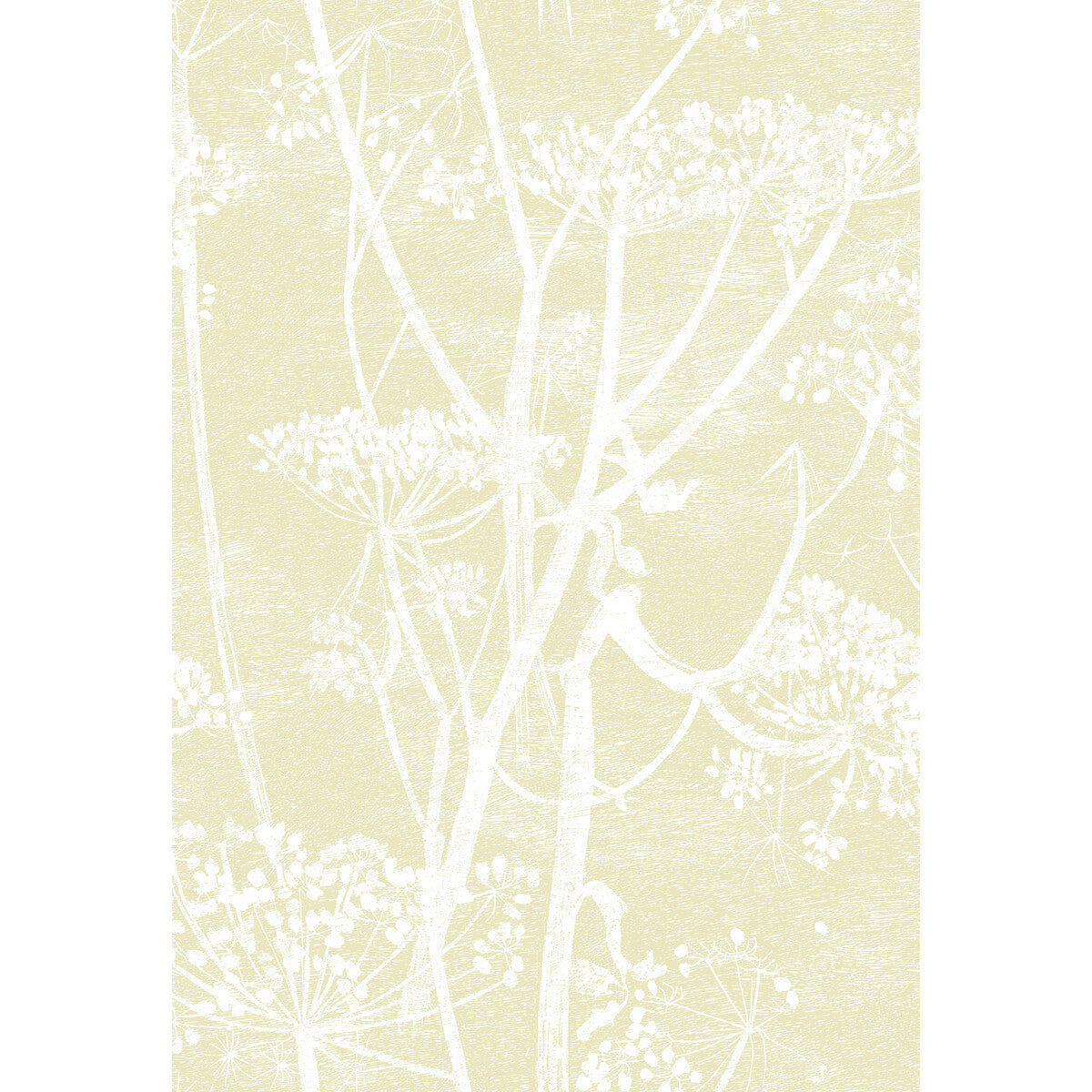 COLE & SON COW PARSLEY STRAW/WHITE