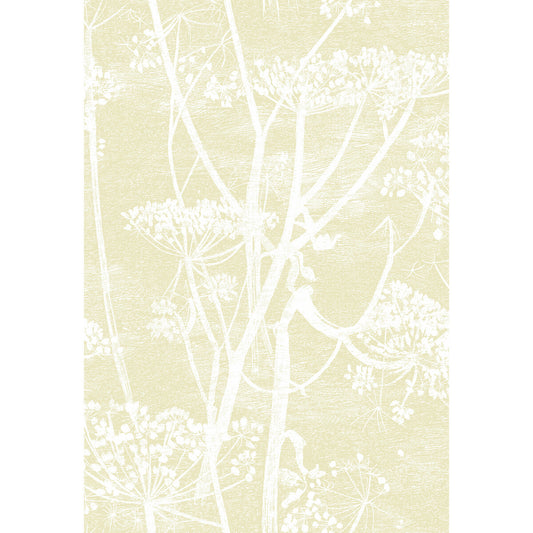 COLE & SON COW PARSLEY STRAW/WHITE