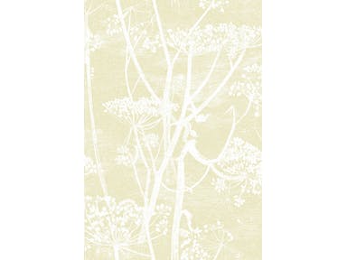 Cole & Son WP: Contemporary Restyled Cow Parsley 95/9053.CS.0 Straw/White