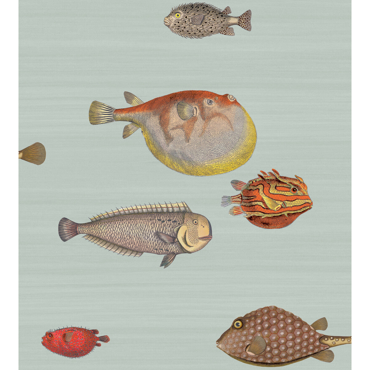 COLE & SON ACQUARIO PRINT ROOM BLUE