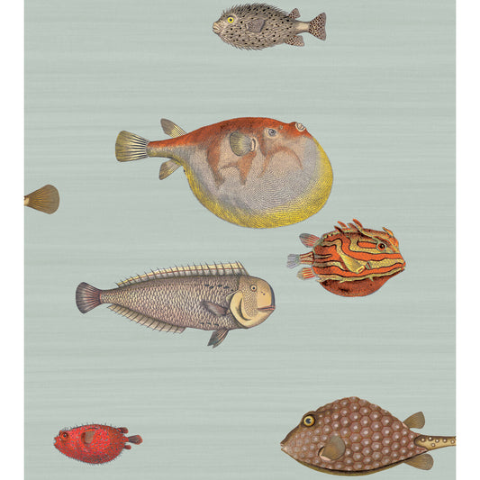 COLE & SON ACQUARIO PRINT ROOM BLUE