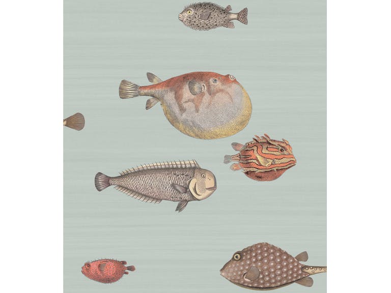 Cole & Son WP: Fornasetti Acquario 97/10030.CS.0 Pal Bl & Mlt