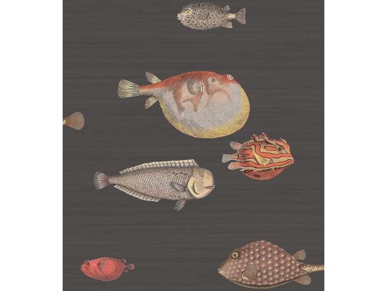 Cole & Son WP: Fornasetti Acquario 97/10048.CS.0 Black & Multi