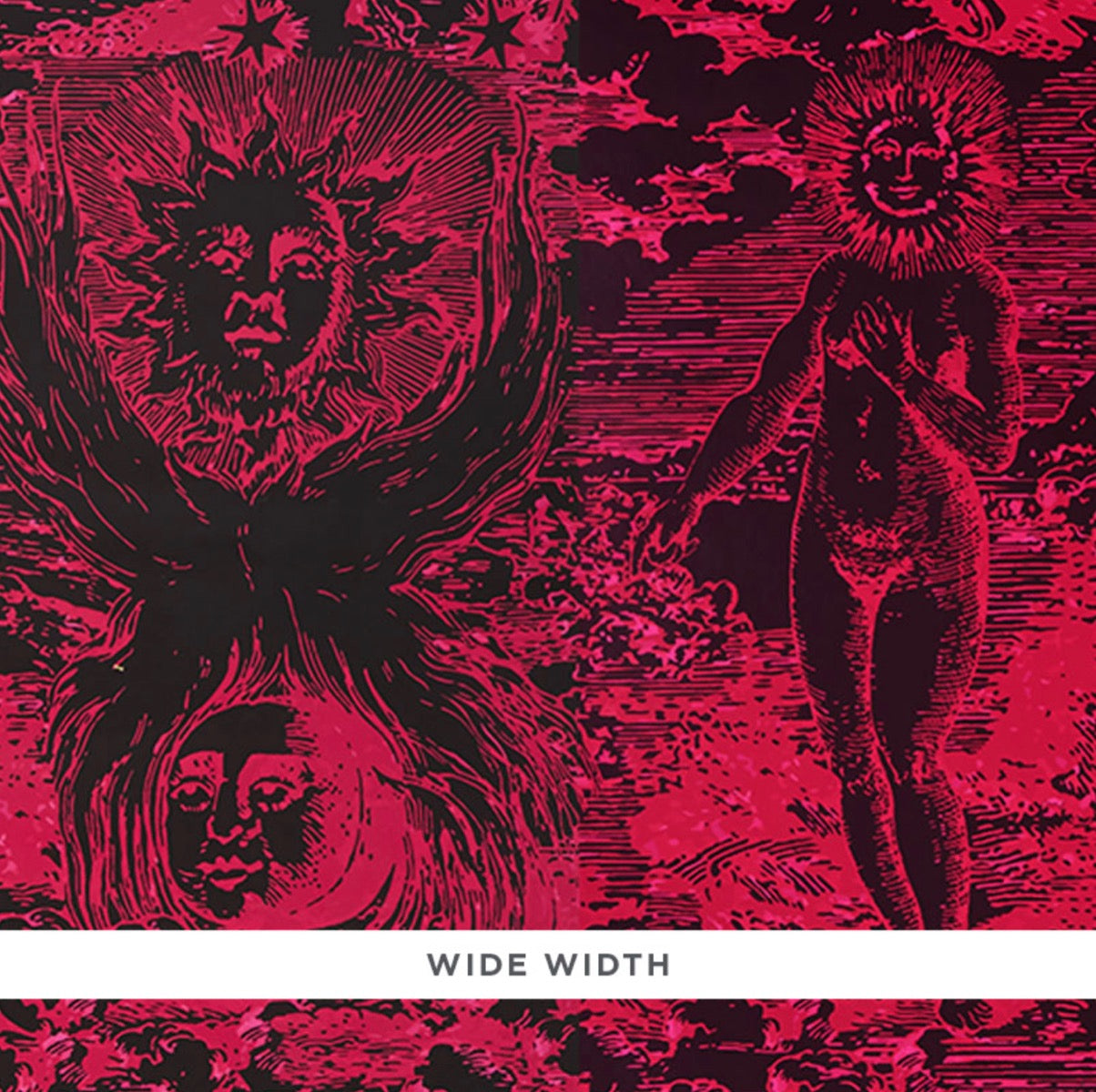 Schumacher: Modern Toile WP 5010423 Pink & Black