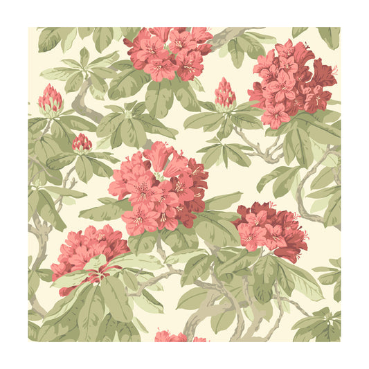 COLE & SON BOURLIE CORAL