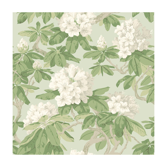 COLE & SON BOURLIE DUCK EGG