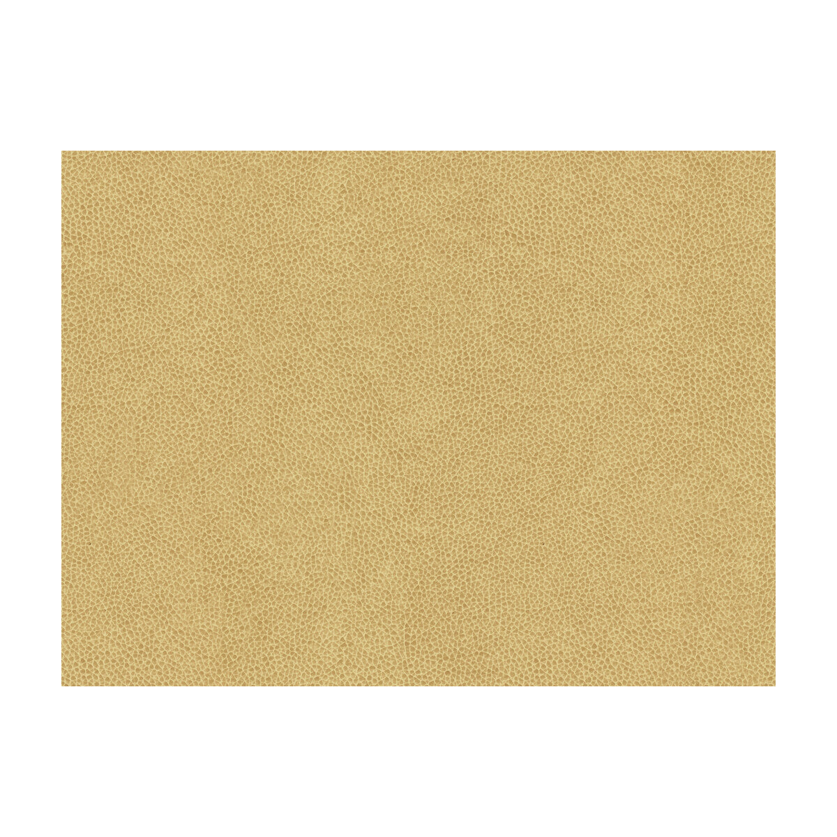 KRAVET CONTRACT ABILENE DUNE