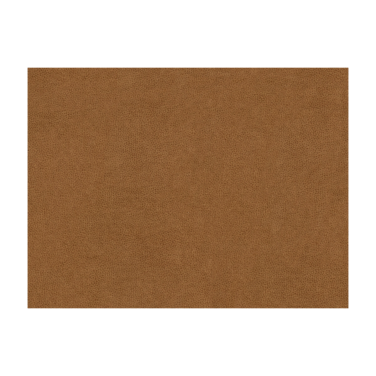 KRAVET CONTRACT ABILENE BISCUIT
