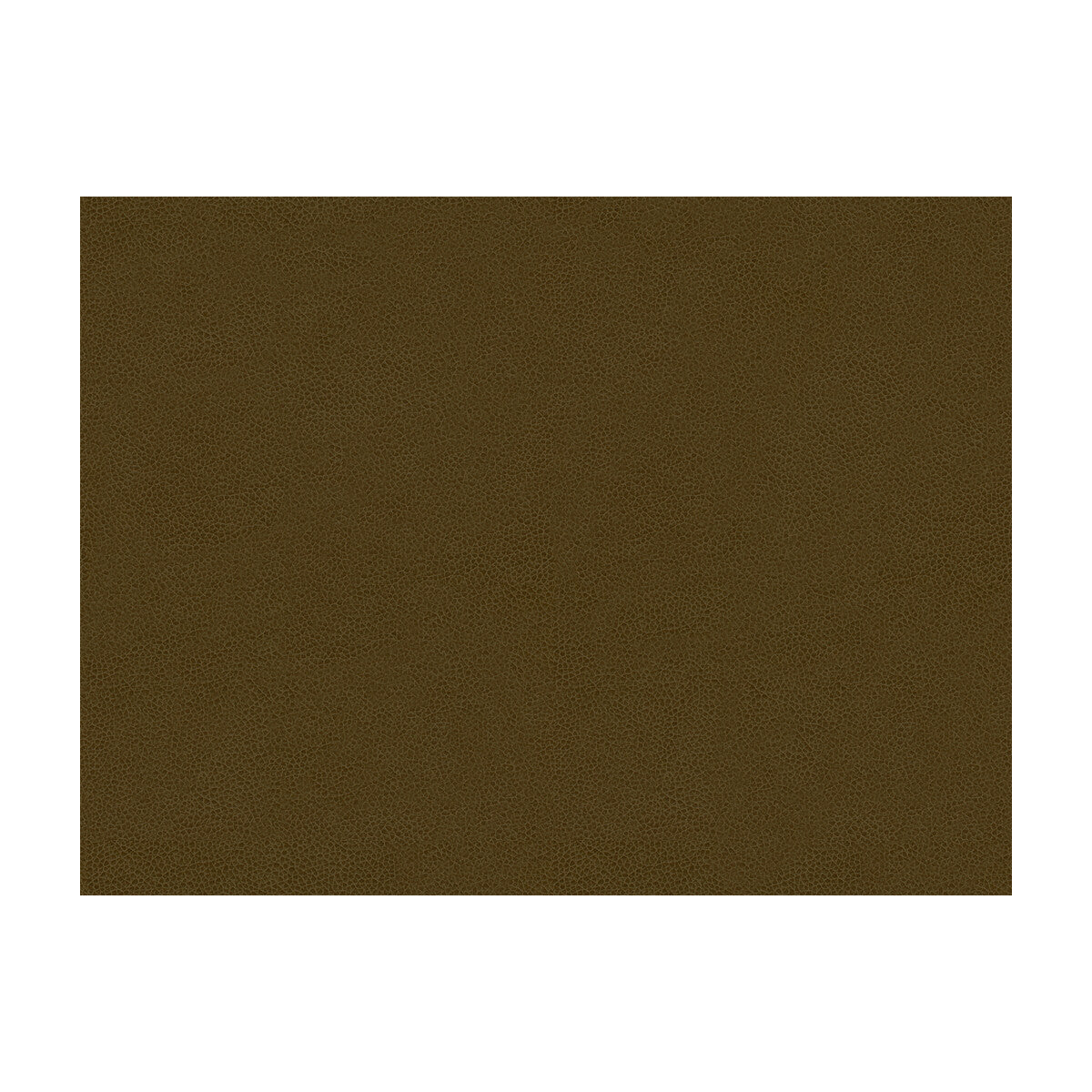 KRAVET CONTRACT ABILENE BARK