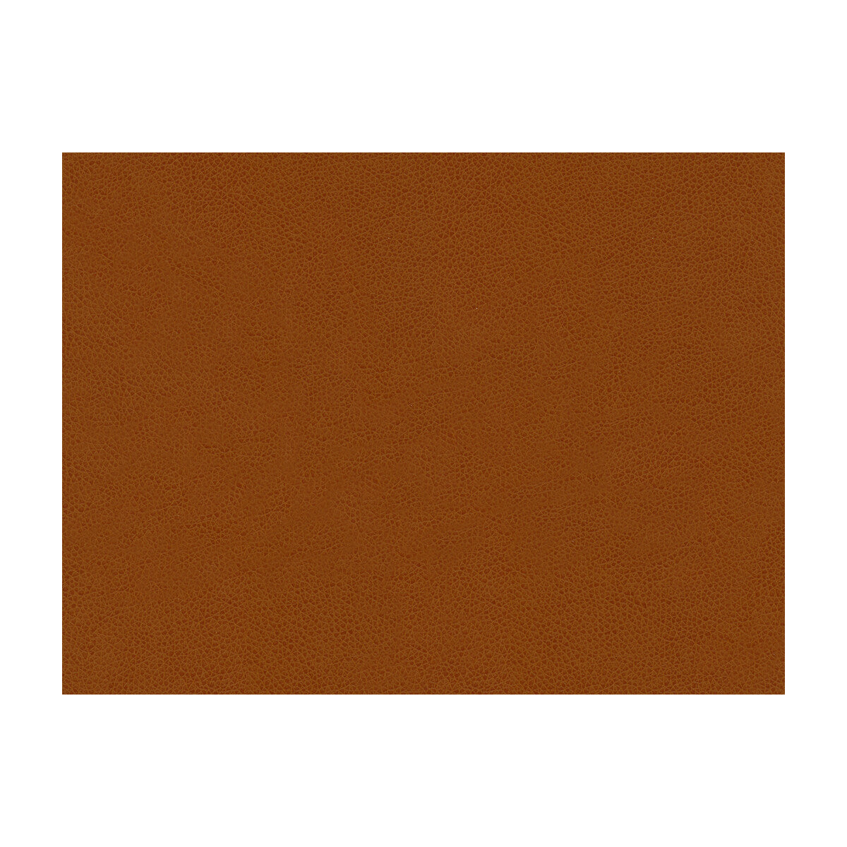 KRAVET CONTRACT ABILENE PENNY