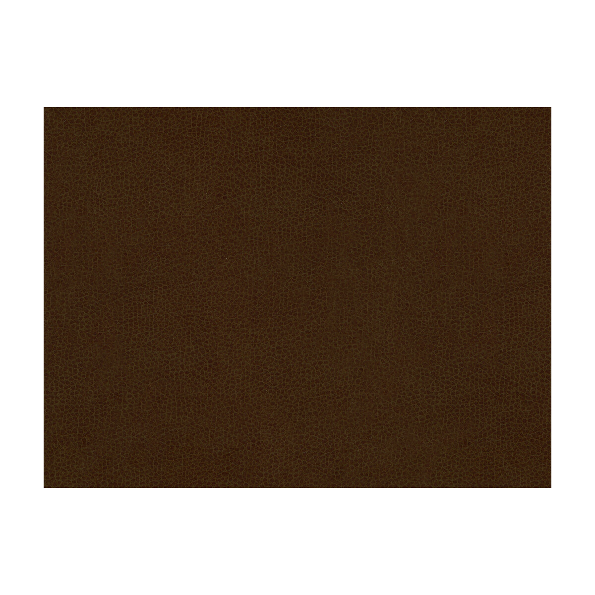 KRAVET CONTRACT ABILENE COCOA