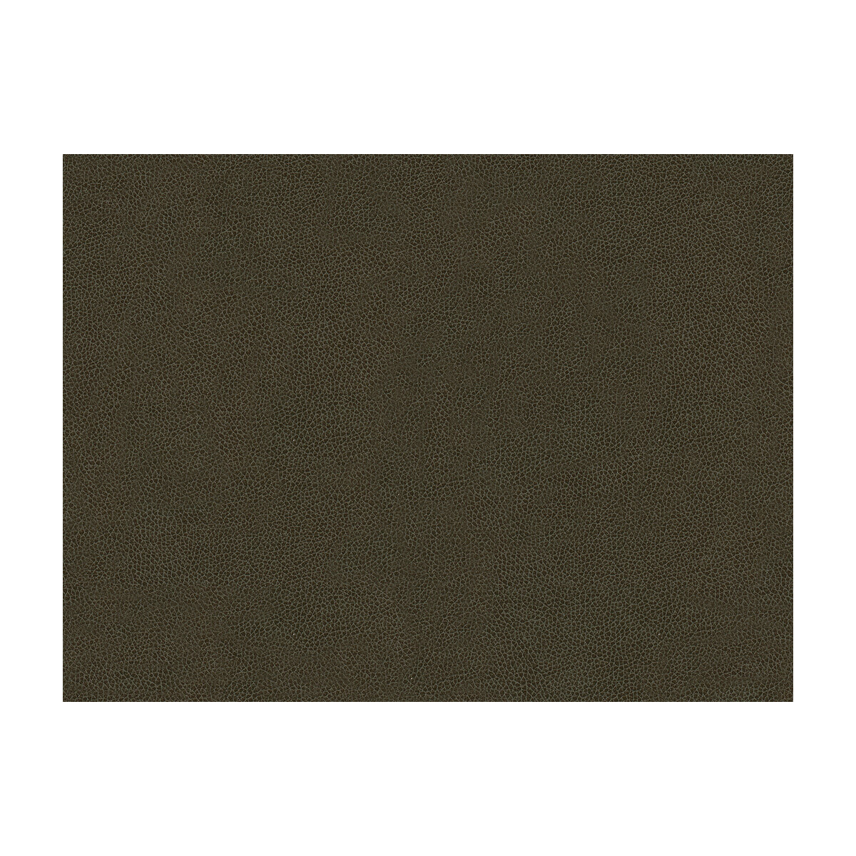 KRAVET CONTRACT ABILENE STALLION