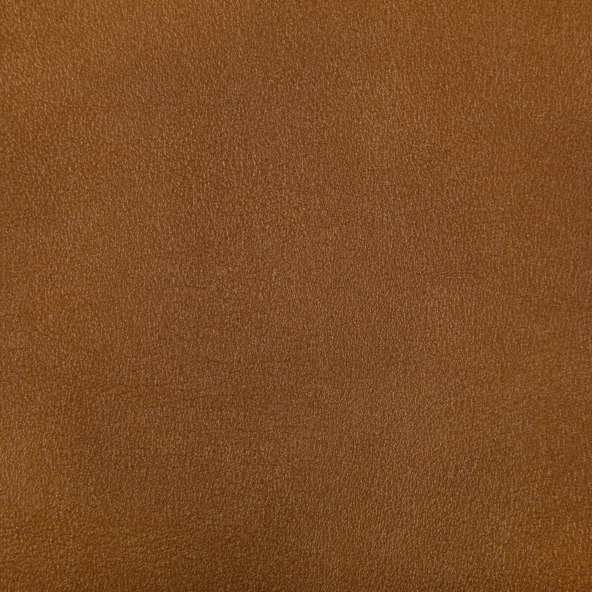 KRAVET CONTRACT AGATHA SQUASH