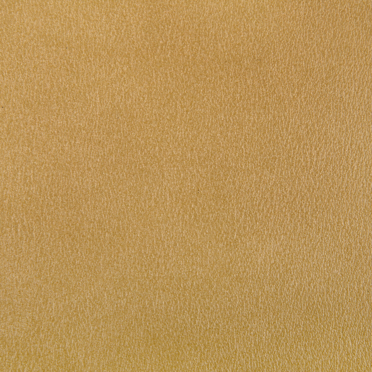 KRAVET CONTRACT AGATHA GILT