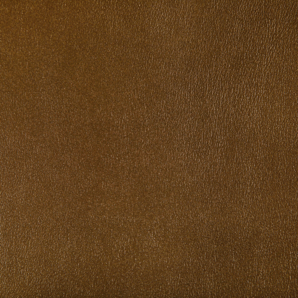 KRAVET CONTRACT AGATHA INCA
