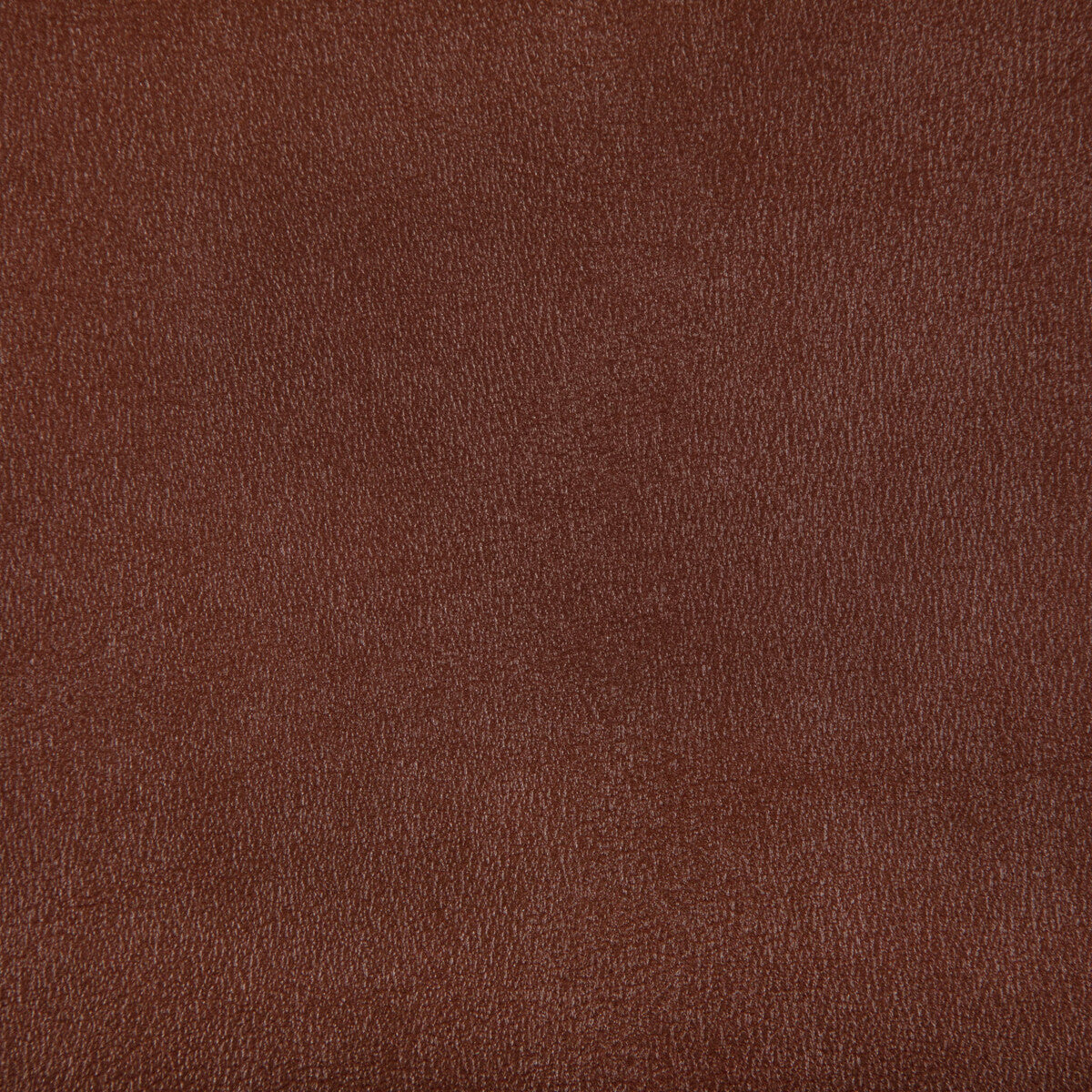 KRAVET CONTRACT AGATHA COPPER