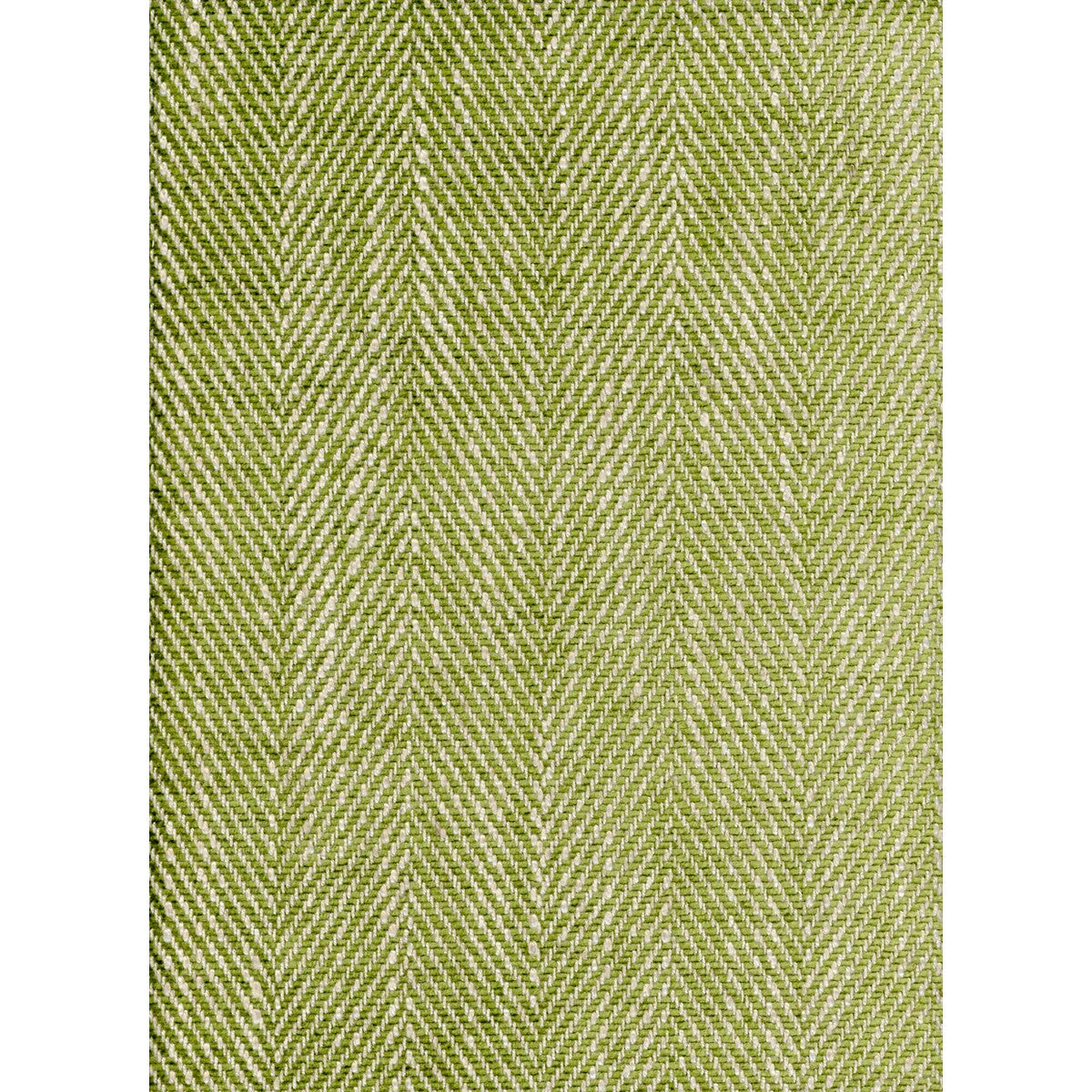 KRAVET COUTURE SUMMIT PALM