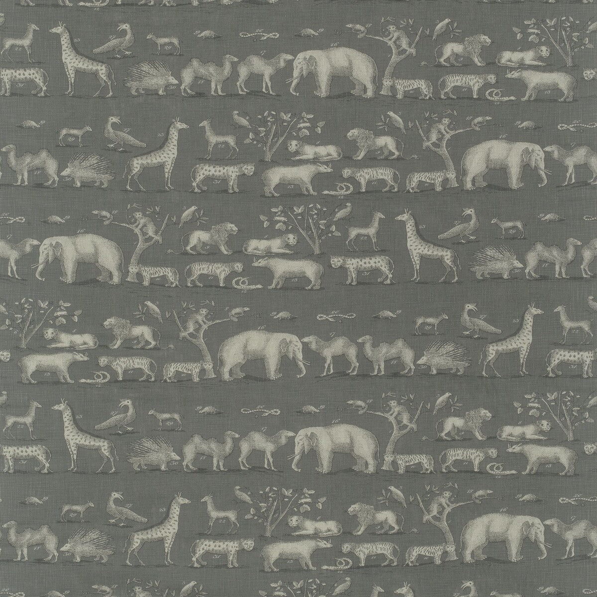 KRAVET COUTURE KINGDOM STORM