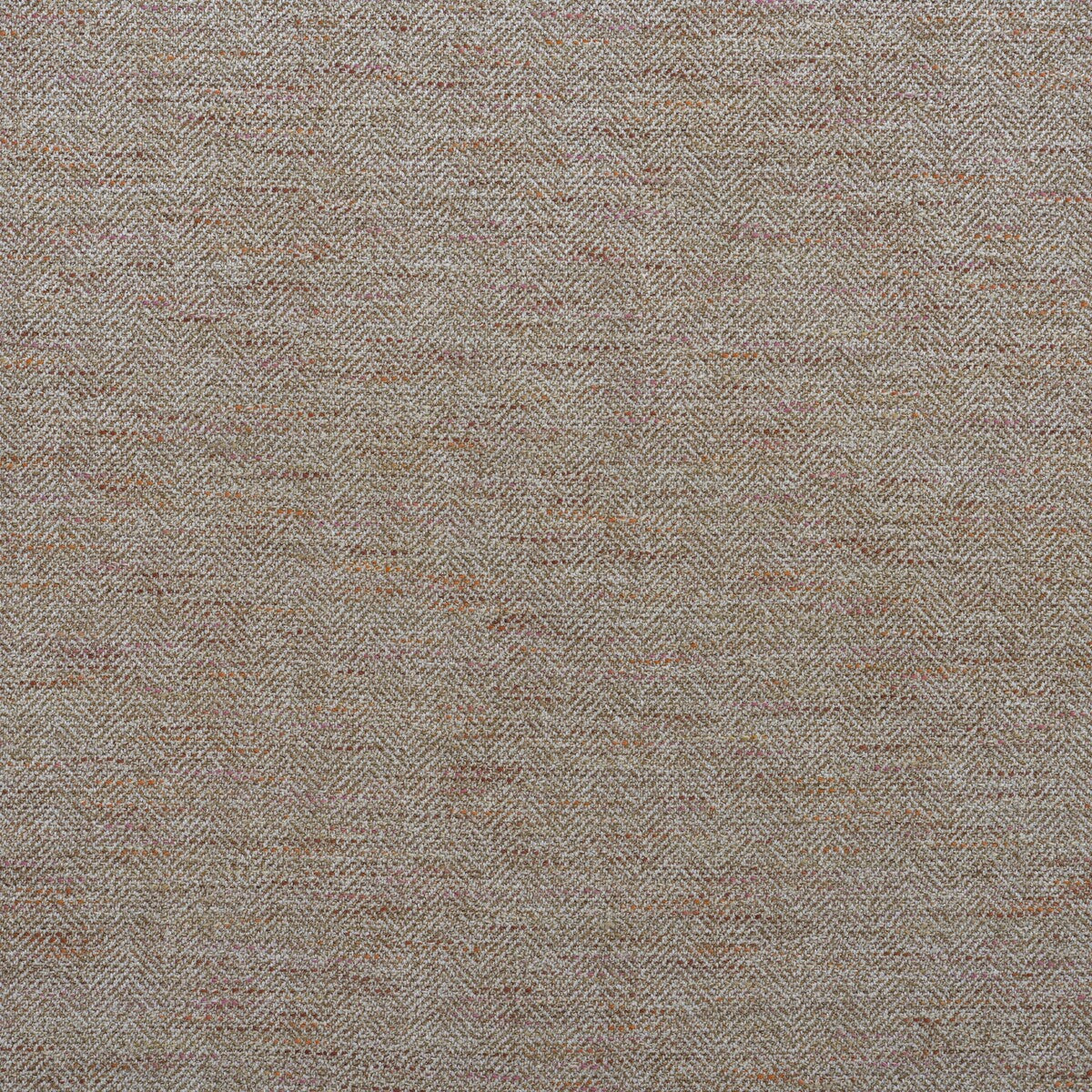 KRAVET COUTURE DELPHINI BISCOTTI