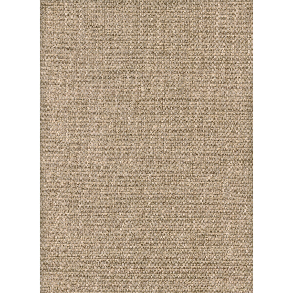 KRAVET COUTURE PARAGGI WHEAT