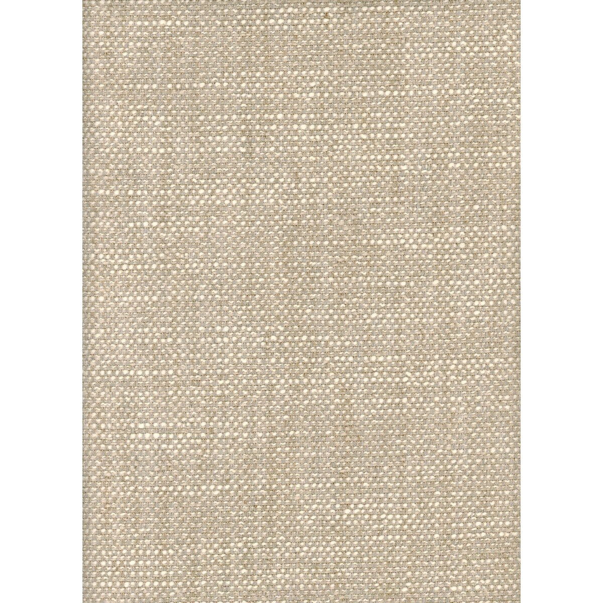 KRAVET COUTURE PARAGGI OAT