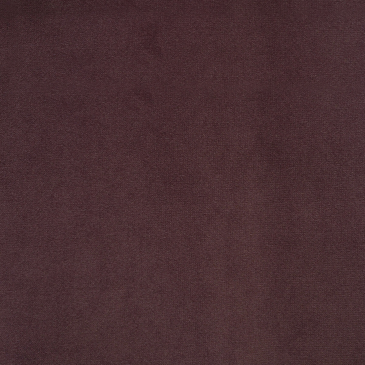KRAVET COUTURE VILLANDRY FIG