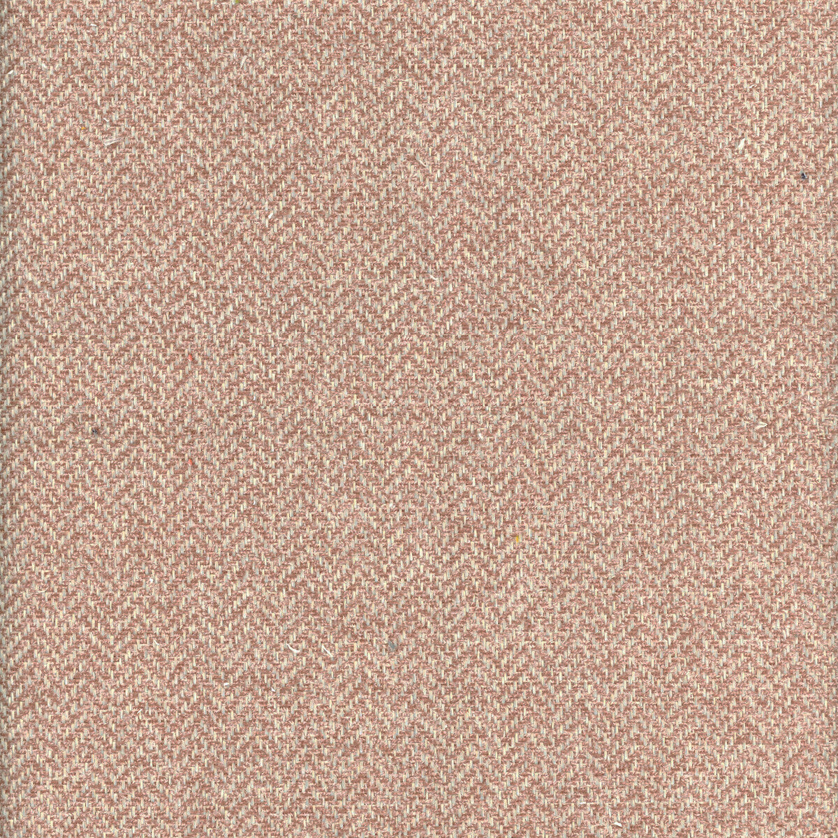 KRAVET COUTURE NEVADA FALCON