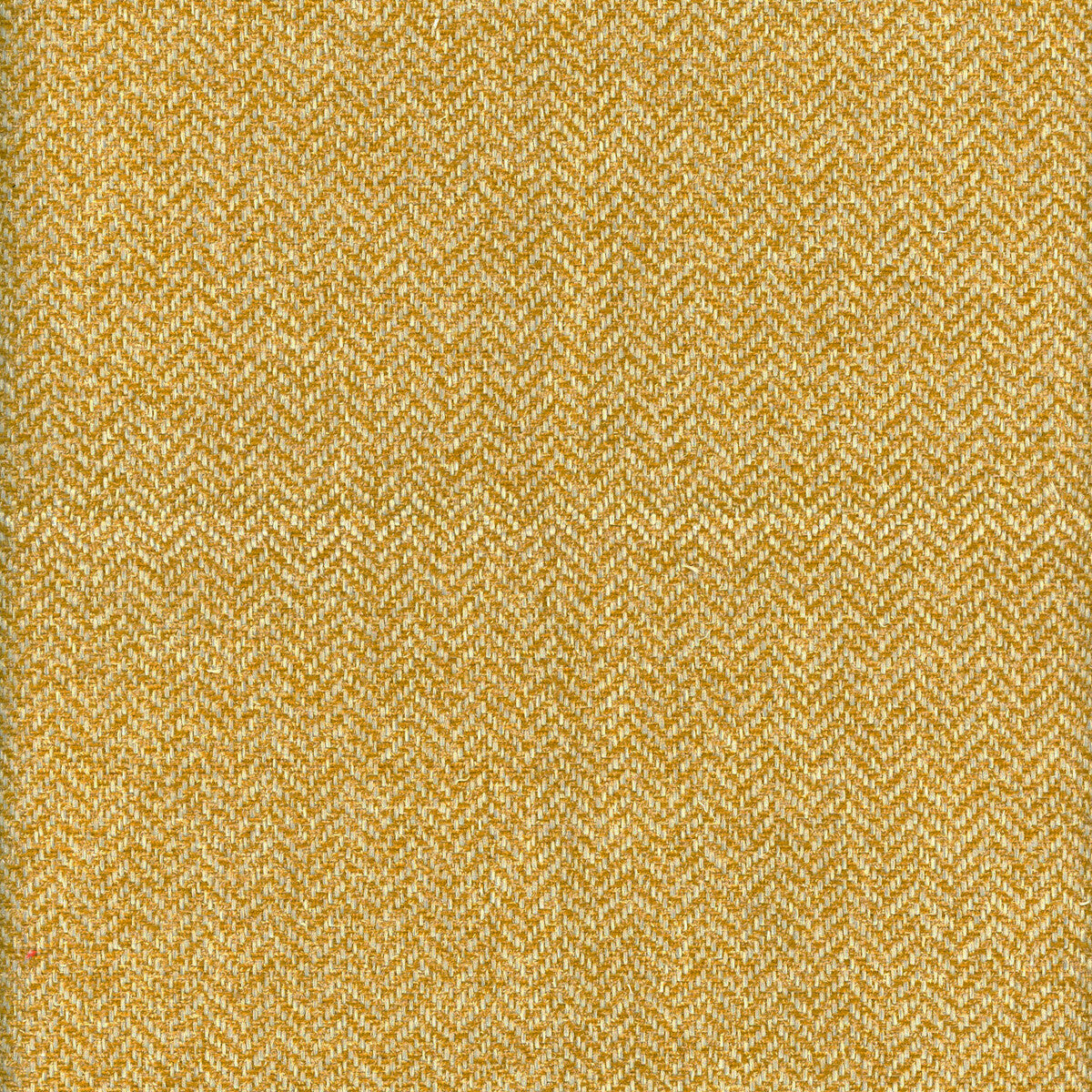 KRAVET COUTURE NEVADA EAGLE