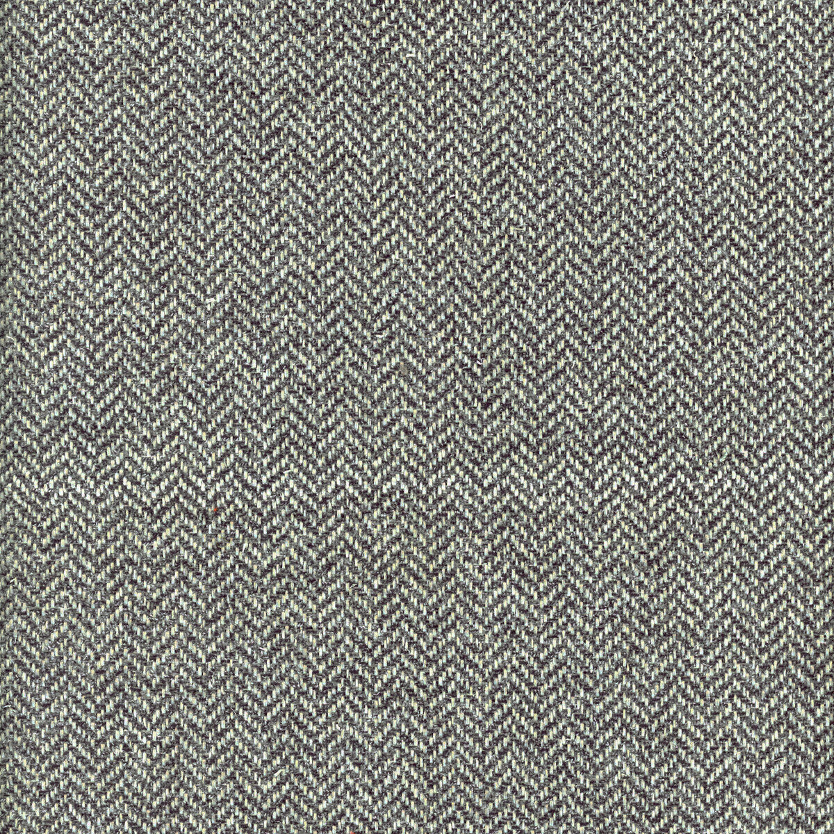 KRAVET COUTURE NEVADA RAPID