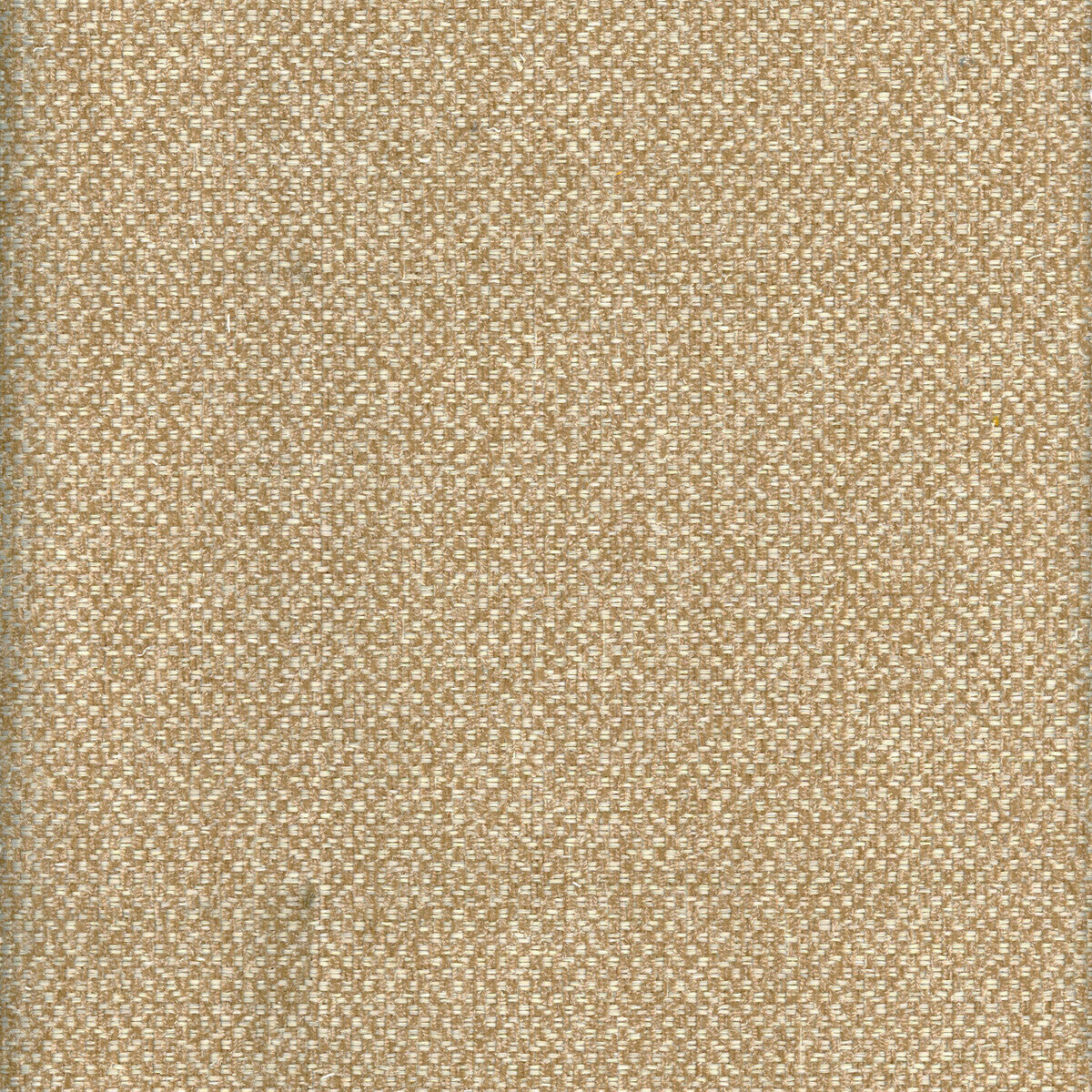 KRAVET COUTURE YOSEMITE SAND