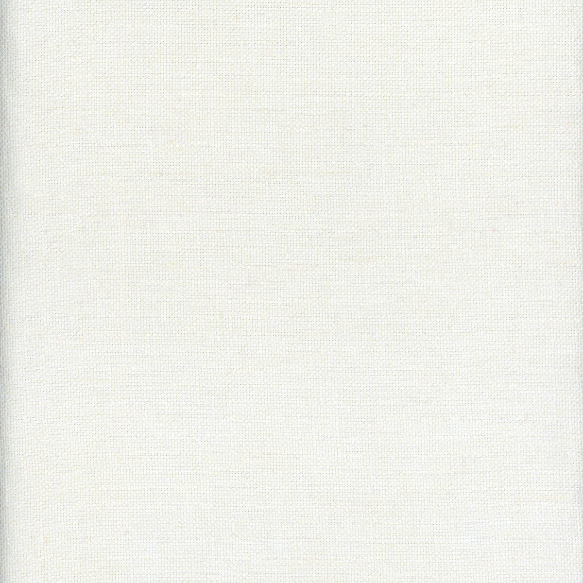 KRAVET COUTURE BEAGLE SALT