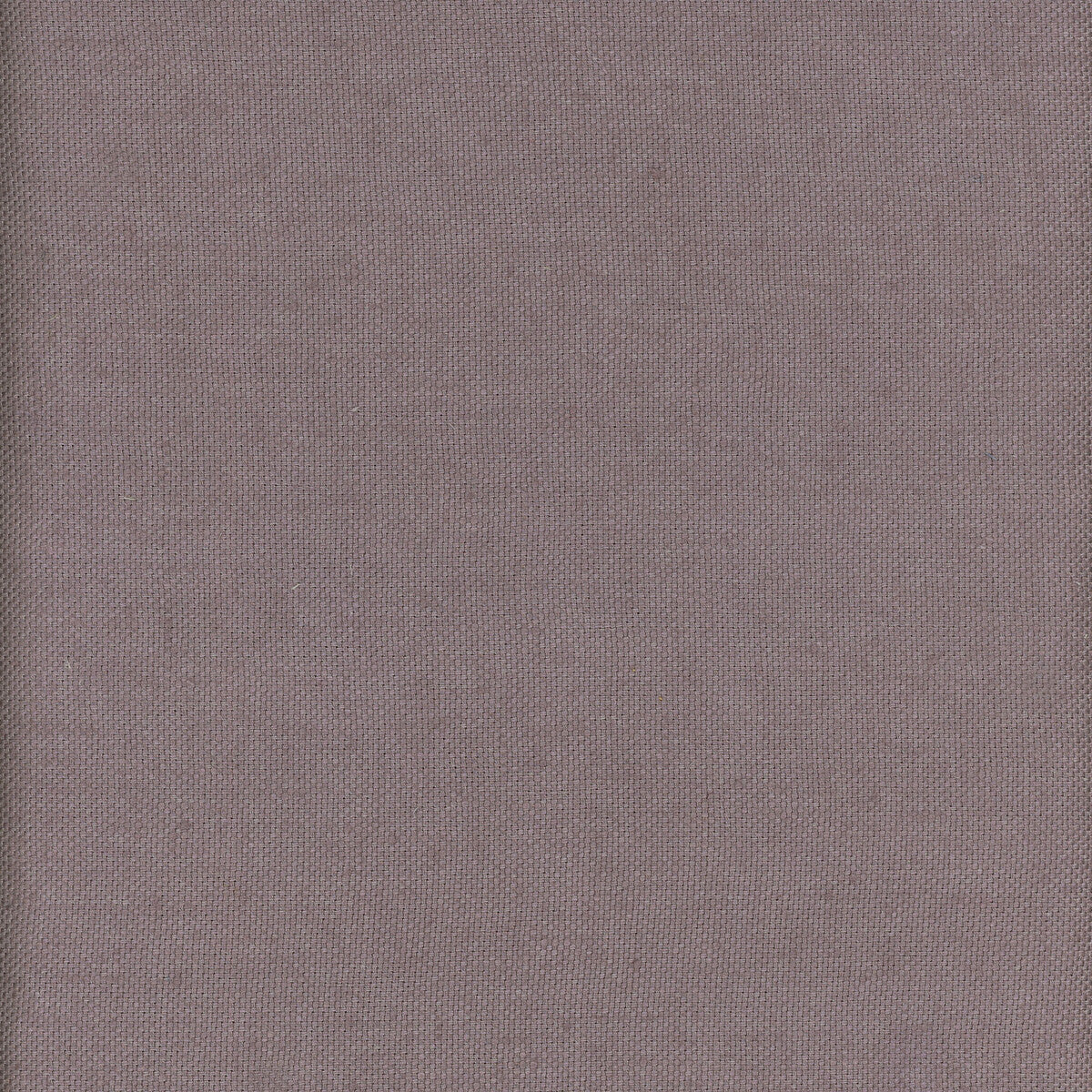 KRAVET COUTURE BEAGLE BERRY