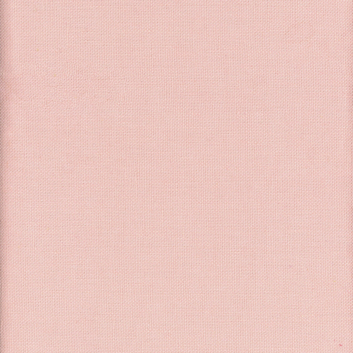 KRAVET COUTURE BEAGLE SHELL