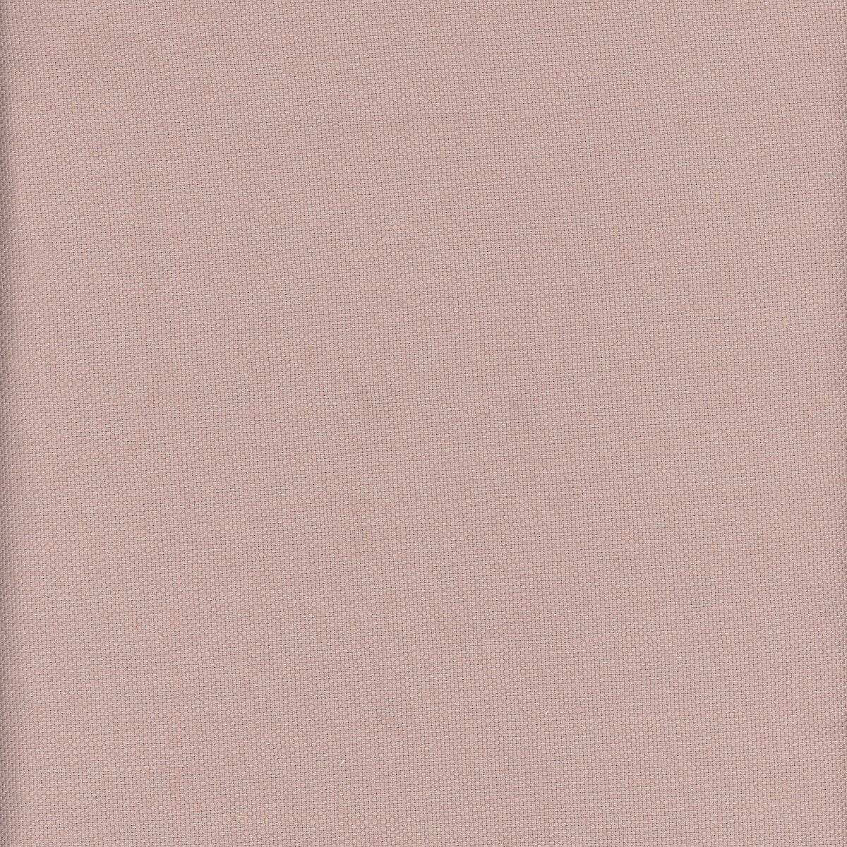 KRAVET COUTURE BEAGLE HEATHER
