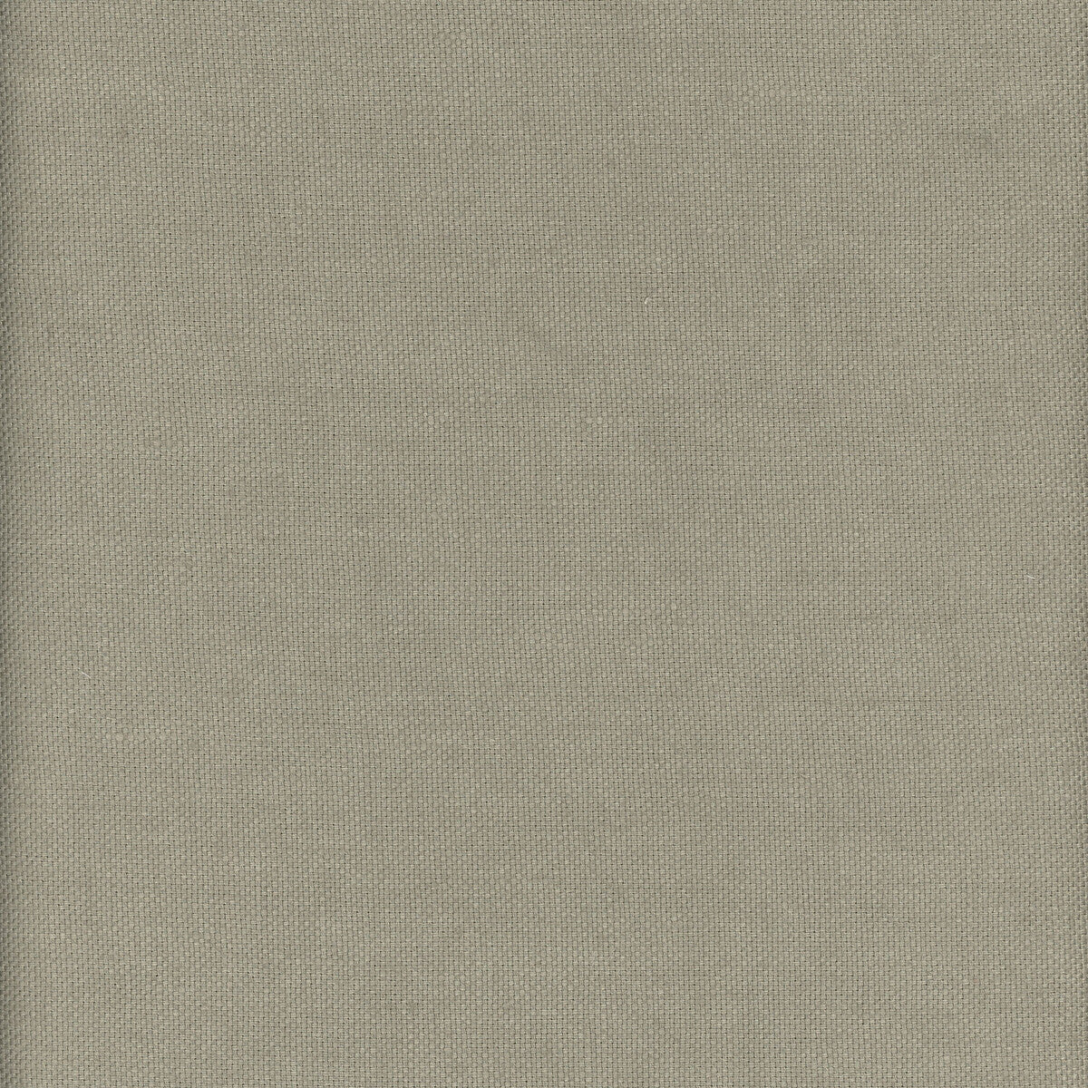KRAVET COUTURE BEAGLE GRASSHOPPER