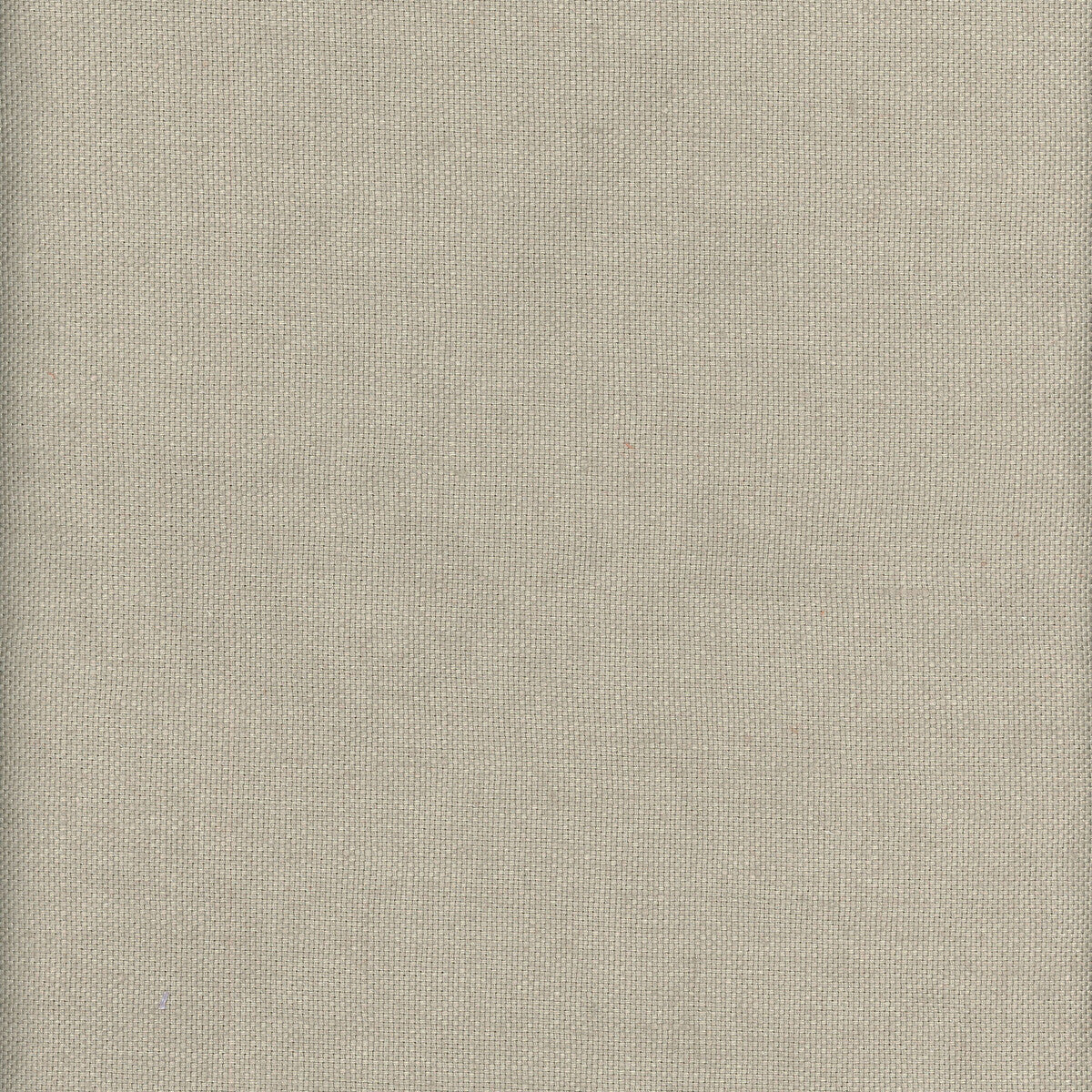 KRAVET COUTURE BEAGLE FOSSIL