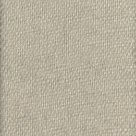 KRAVET COUTURE BEAGLE FOSSIL