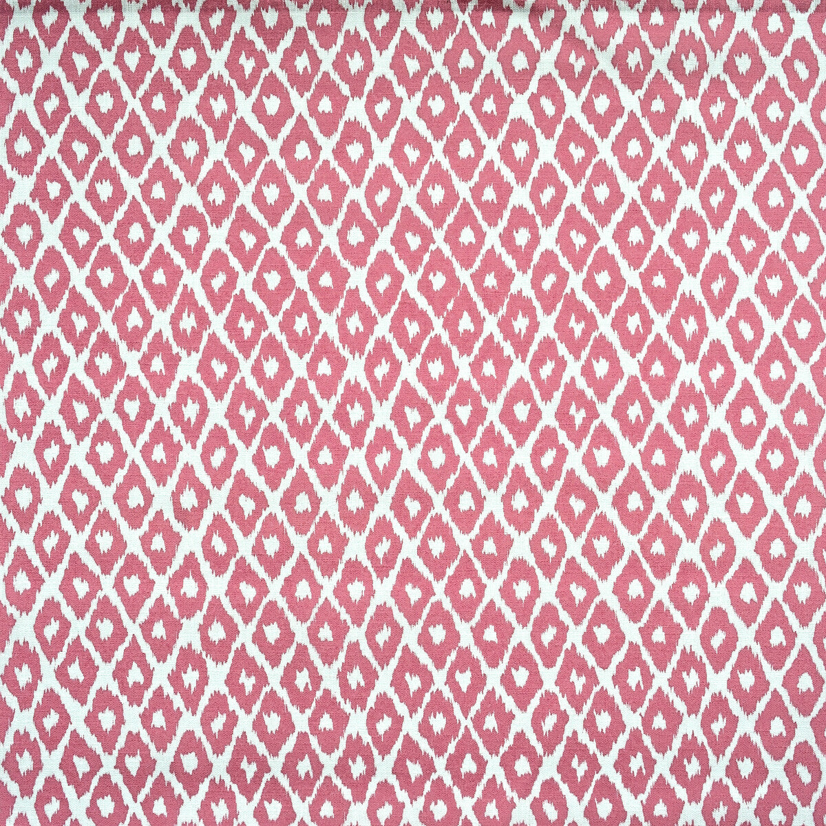 KRAVET COUTURE GYPSUM OUTDOOR TROPIC